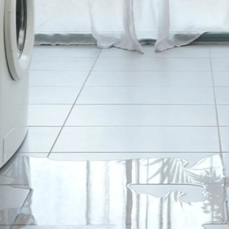 Appliance Leak Cleanup in Sulligent, AL