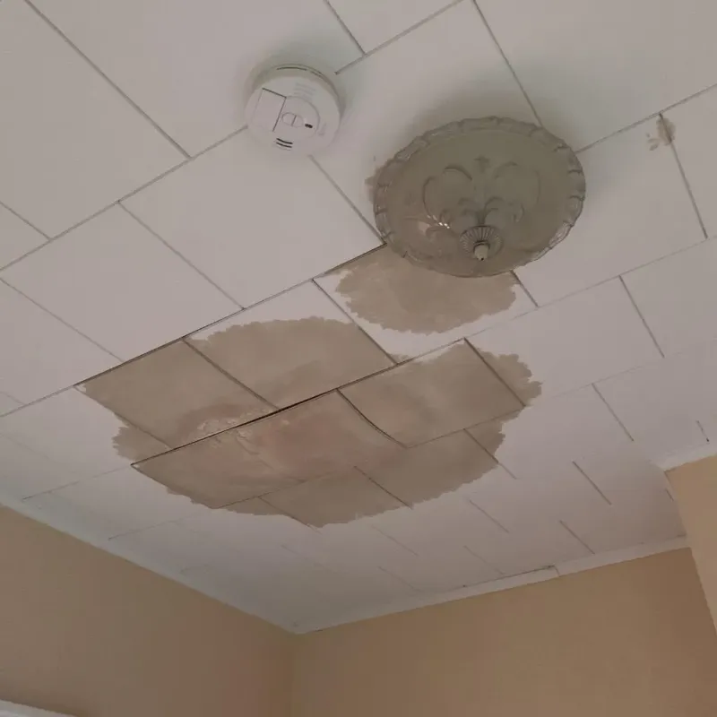Ceiling Water Damage Repair in Sulligent, AL