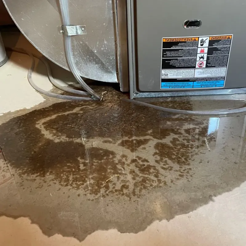Pipe Burst and Leak Restoration in Sulligent, AL