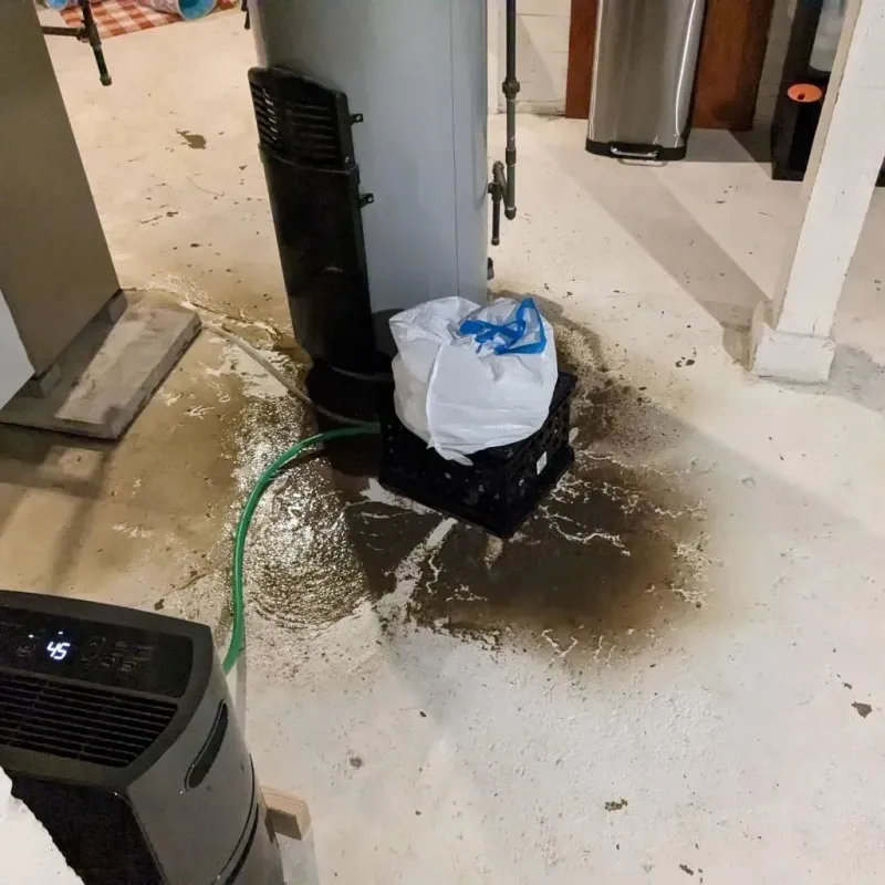 Sewage Backup Cleanup Service in Sulligent, AL